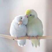 ヒメ日記 2025/07/29 21:38 投稿 東山かのん 五十路マダムエクスプレス神戸店(カサブランカグループ)