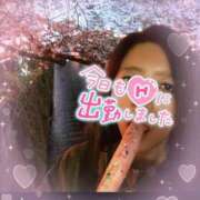 ヒメ日記 2025/06/02 12:58 投稿 松崎なみ 月の真珠-新宿-