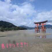 ヒメ日記 2025/09/01 15:29 投稿 さな 豊満奉仕倶楽部