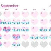 ヒメ日記 2025/09/08 19:01 投稿 さな 豊満奉仕倶楽部