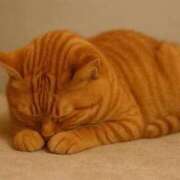 ヒメ日記 2025/11/07 11:39 投稿 さな 豊満奉仕倶楽部