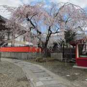 ヒメ日記 2026/03/30 14:24 投稿 さな 豊満奉仕倶楽部