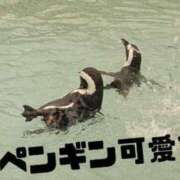 ヒメ日記 2025/06/21 00:33 投稿 さな 人妻熟女奉仕倶楽部