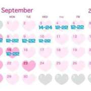 ヒメ日記 2025/09/03 10:50 投稿 さな 人妻熟女奉仕倶楽部