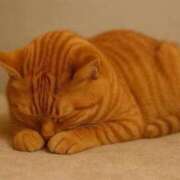 ヒメ日記 2025/11/07 11:40 投稿 さな 人妻熟女奉仕倶楽部