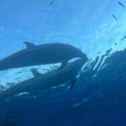 ヒメ日記 2025/08/22 17:51 投稿 楓ゆい エルドール