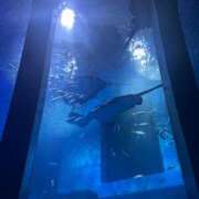 ヒメ日記 2025/10/12 21:29 投稿 楓ゆい エルドール