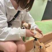 ヒメ日記 2026/02/04 10:54 投稿 楓ゆい エルドール