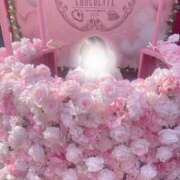 ヒメ日記 2026/02/16 10:57 投稿 楓ゆい エルドール