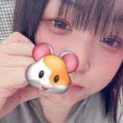 ヒメ日記 2025/07/02 11:04 投稿 さら 奈良市ちゃんこ