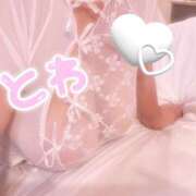 とわ おはようございます?? 奈良市ちゃんこ