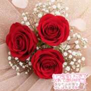 ヒメ日記 2025/05/30 15:09 投稿 れい 奈良市ちゃんこ