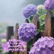 ヒメ日記 2025/06/08 19:24 投稿 れい 奈良市ちゃんこ