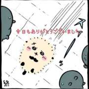 ヒメ日記 2025/08/28 01:22 投稿 れい 奈良市ちゃんこ