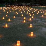 ヒメ日記 2025/08/07 16:33 投稿 なお 奈良市ちゃんこ