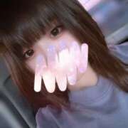 ヒメ日記 2026/04/28 18:45 投稿 なお 奈良市ちゃんこ