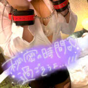 ヒメ日記 2025/06/02 14:34 投稿 カリン 奈良市ちゃんこ