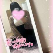 ヒメ日記 2025/06/04 19:11 投稿 カリン 奈良市ちゃんこ