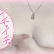 ヒメ日記 2025/06/05 16:36 投稿 カリン 奈良市ちゃんこ