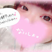 ヒメ日記 2025/06/07 02:01 投稿 カリン 奈良市ちゃんこ