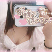 ヒメ日記 2025/06/08 02:11 投稿 カリン 奈良市ちゃんこ