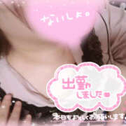 ヒメ日記 2025/07/05 14:07 投稿 カリン 奈良市ちゃんこ