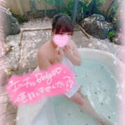 ヒメ日記 2025/07/16 14:56 投稿 カリン 奈良市ちゃんこ