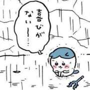 ヒメ日記 2025/06/22 10:45 投稿 りり 奈良市ちゃんこ