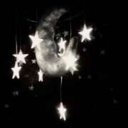 ヒメ日記 2025/10/04 16:01 投稿 ななせ 奈良市ちゃんこ