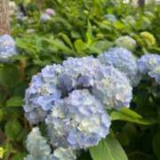 ヒメ日記 2025/06/28 10:28 投稿 ふゆこ ごほうびSPA上野店