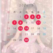 ★夏目めい★ 🌻９月の予定🌻 CLUB39（クラブサンキュー）