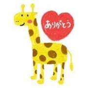 ヒメ日記 2025/08/23 19:49 投稿 あわい チューリップ福井本館