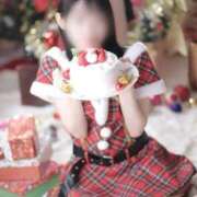 ヒメ日記 2025/11/13 12:24 投稿 あわい チューリップ福井本館