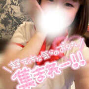 ヒメ日記 2026/02/01 12:17 投稿 ちさ One More奥様　厚木店