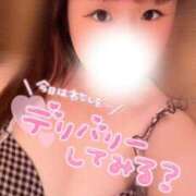 ヒメ日記 2026/08/31 14:31 投稿 ちさ One More奥様　厚木店