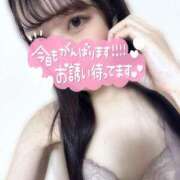 ヒメ日記 2025/05/31 11:13 投稿 かな 恋のうた