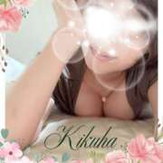 ヒメ日記 2025/08/02 07:01 投稿 藤きくは マダムと紳士