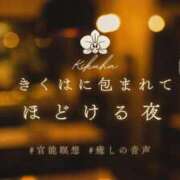 ヒメ日記 2025/11/28 08:41 投稿 藤きくは マダムと紳士