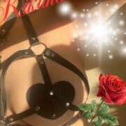 ヒメ日記 2025/12/02 08:41 投稿 藤きくは マダムと紳士