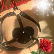 ヒメ日記 2026/02/03 08:21 投稿 藤きくは マダムと紳士