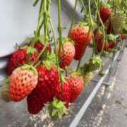 ヒメ日記 2025/06/04 13:55 投稿 ゆな すごいエステ 名古屋店