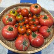 ヒメ日記 2025/06/28 15:35 投稿 ゆな すごいエステ 名古屋店