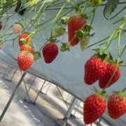 ヒメ日記 2026/03/15 18:25 投稿 ゆな すごいエステ 名古屋店