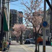 ヒメ日記 2026/03/16 18:15 投稿 ゆな すごいエステ 名古屋店