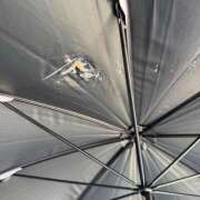 ヒメ日記 2026/06/13 15:40 投稿 ゆな すごいエステ 名古屋店
