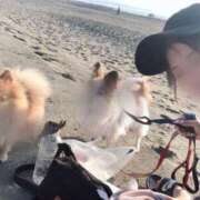 ヒメ日記 2025/12/31 08:30 投稿 りく E+アイドルスクール新宿・歌舞伎町店