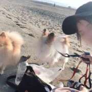 ヒメ日記 2025/12/31 08:45 投稿 りく E+アイドルスクール新宿・歌舞伎町店