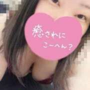 みこ こんにちはʕ•ﻌ•ʔฅ´- 錦糸町ちゃんこ