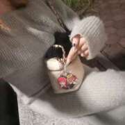 ヒメ日記 2025/10/23 19:03 投稿 らら ミルキーウェイ（近江八幡）