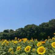 ヒメ日記 2025/07/31 13:39 投稿 るる ぐっすり山田　大阪店